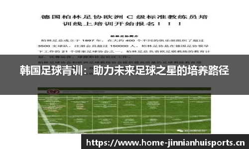 韩国足球青训：助力未来足球之星的培养路径