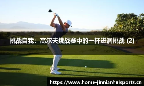 挑战自我：高尔夫挑战赛中的一杆进洞挑战 (2)